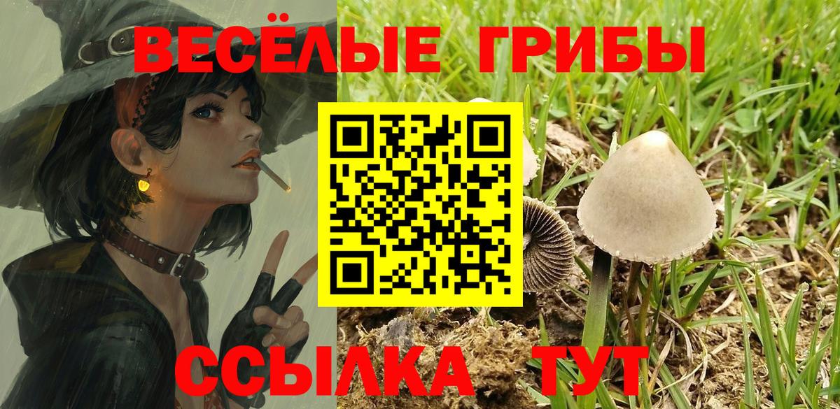 Галлюциногенные грибы мухоморы  Псилоцибиновые грибы Magic Shrooms  Куйбышев  Вход с VPN 