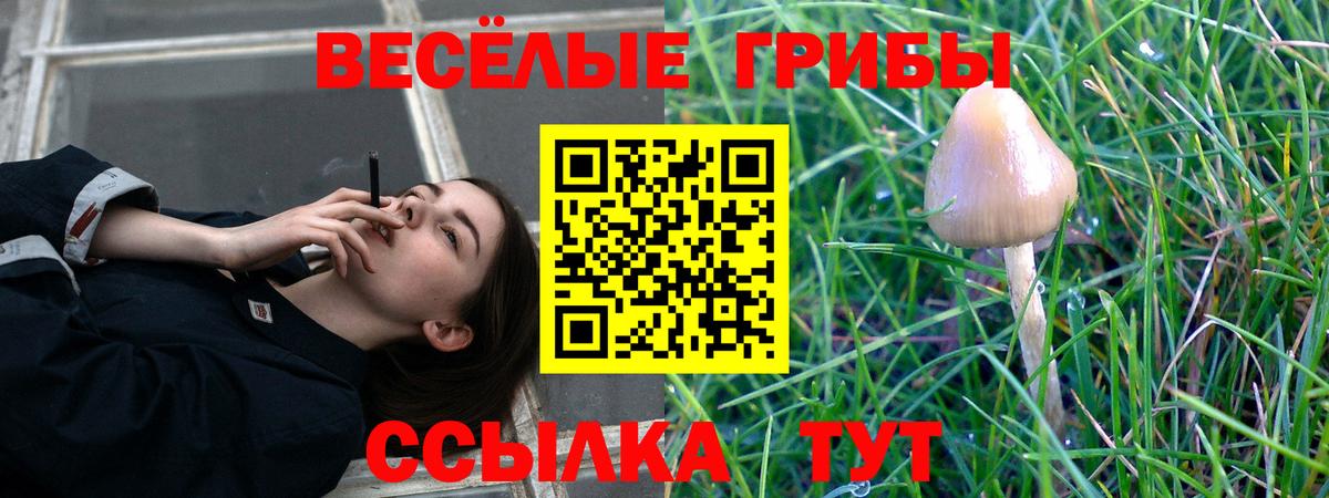 Псилоцибиновые грибы ЛСД Куйбышев